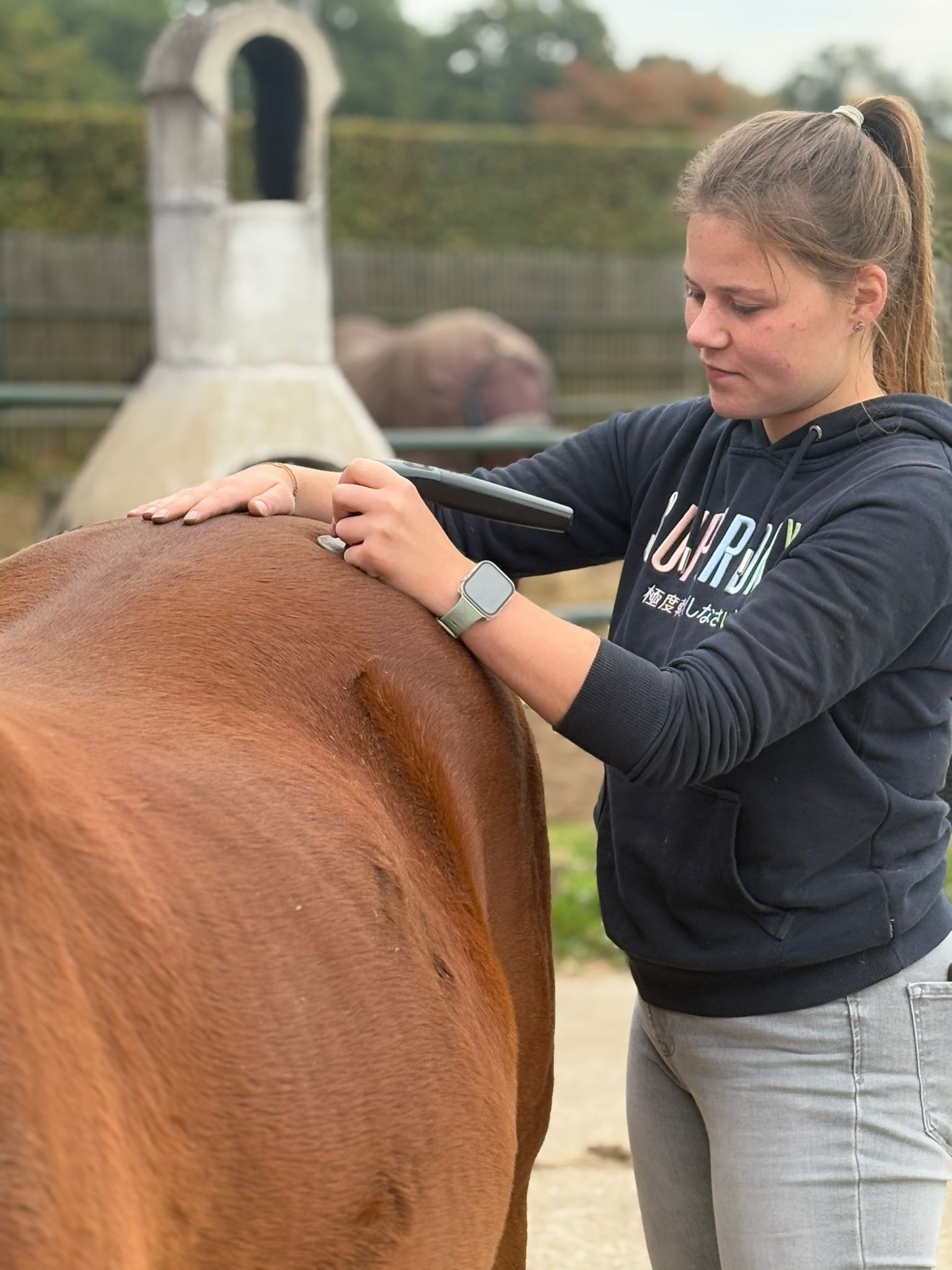 Tierphysiotherapie Milena-Joy Syfus