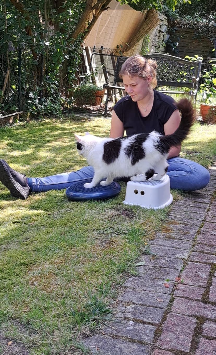 Tierphysiotherapie Milena-Joy Syfus