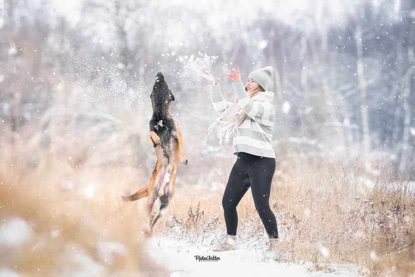 PfotenFaktor Tierfotografie