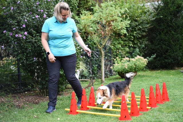 Fellbalance - Mobile Tierphysio in Krefeld und am Niederrhein