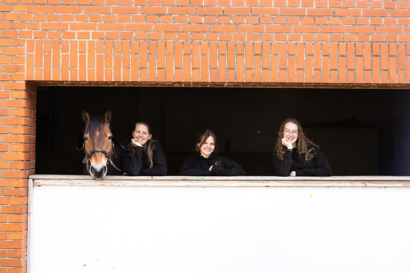 Pferdehof Danehl GbR