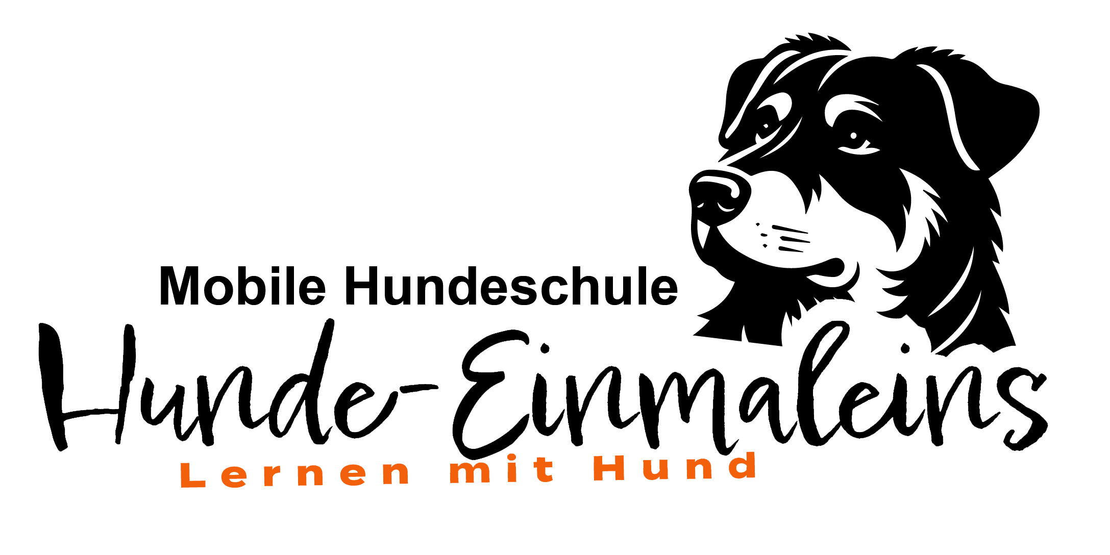 Mobile Hundeschule Hunde-Einmaleins