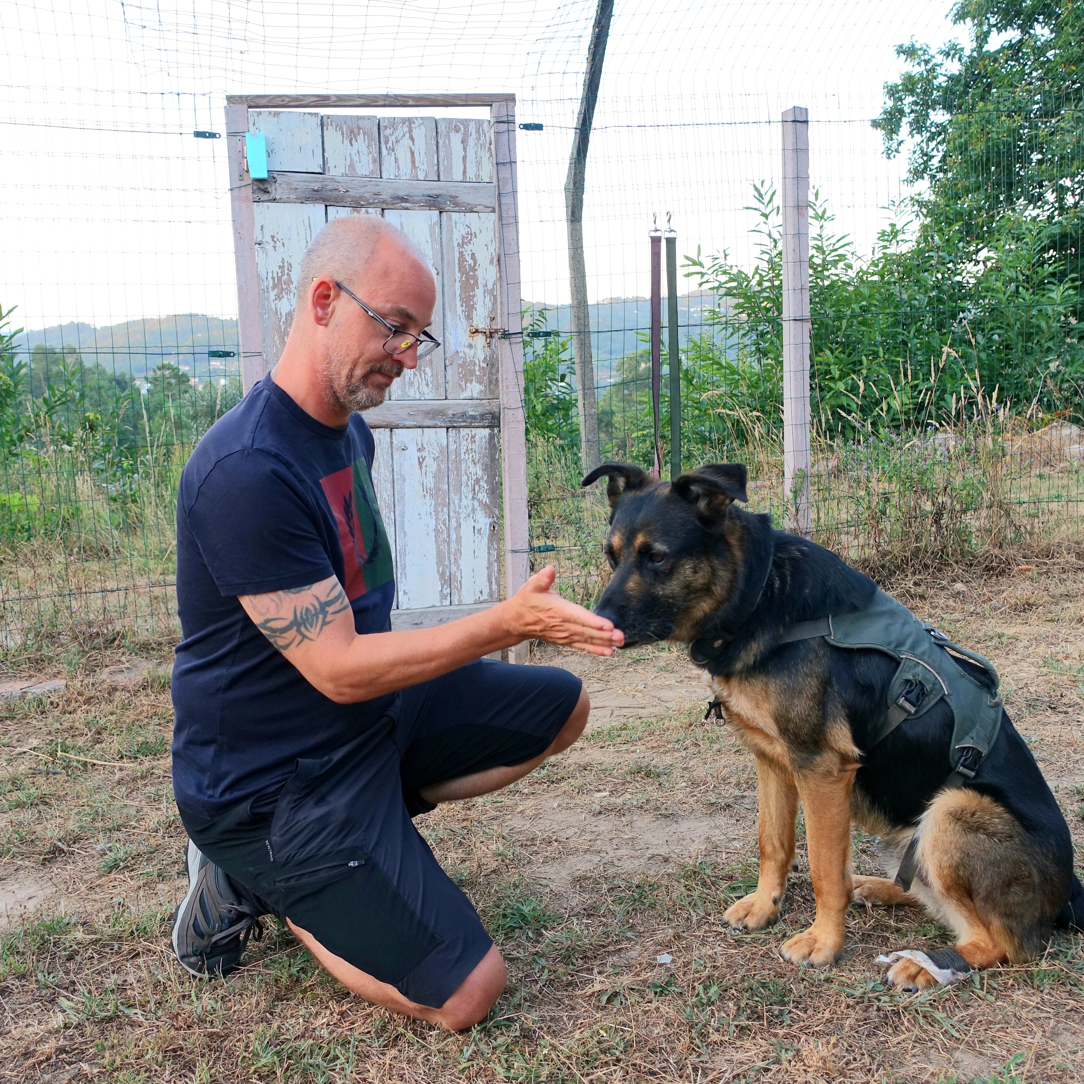 Hundeschule Schmitzeinander