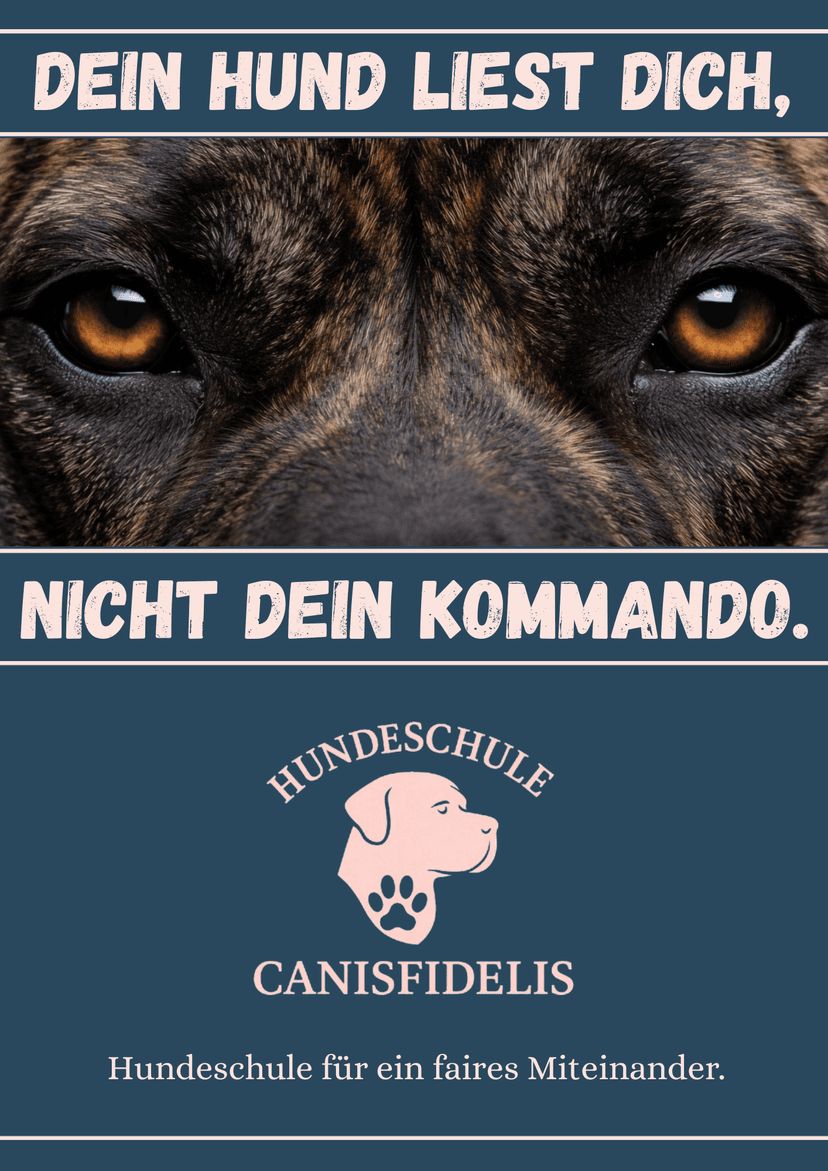 Hundeschule Canisfidelis