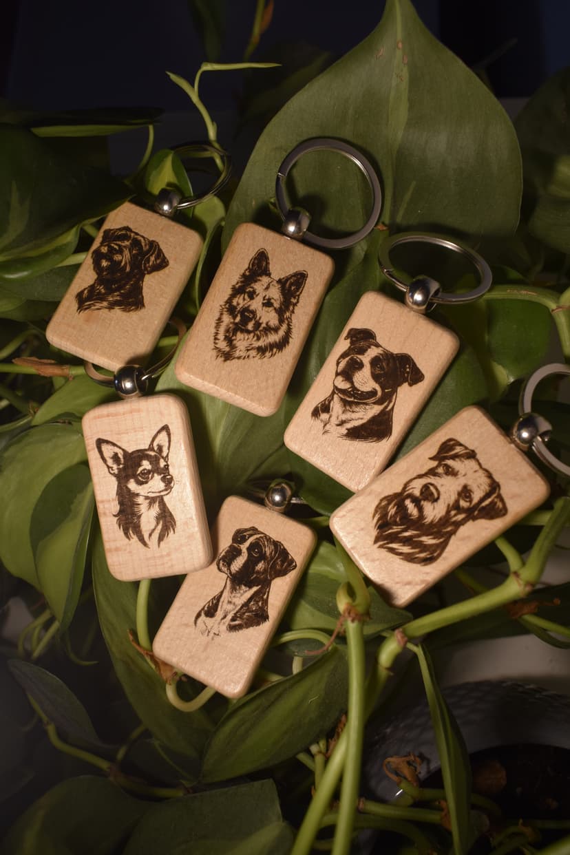 Hundeschule Canisfidelis