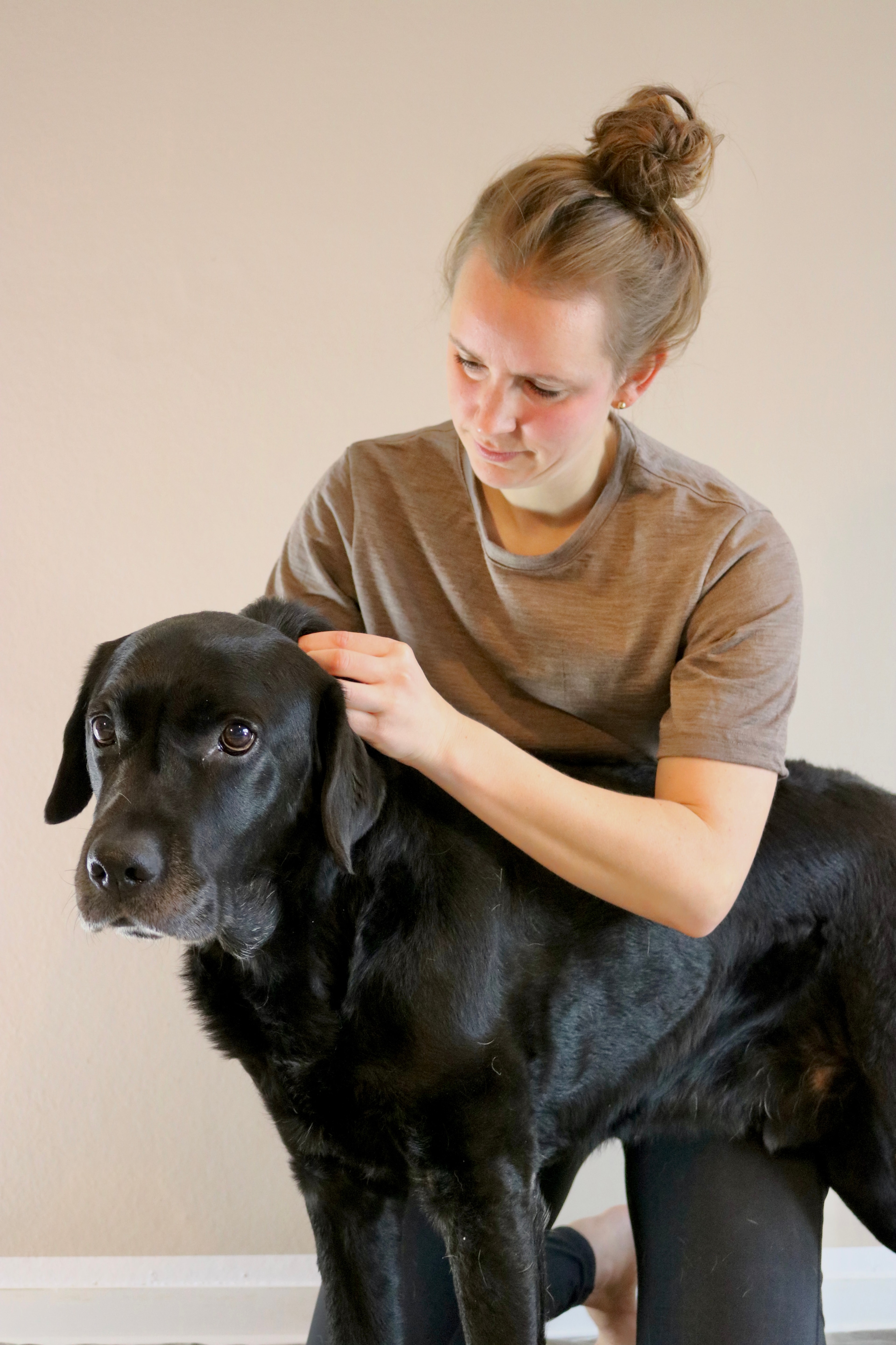 Felltherapie - Tierosteopathie & Physiotherapie