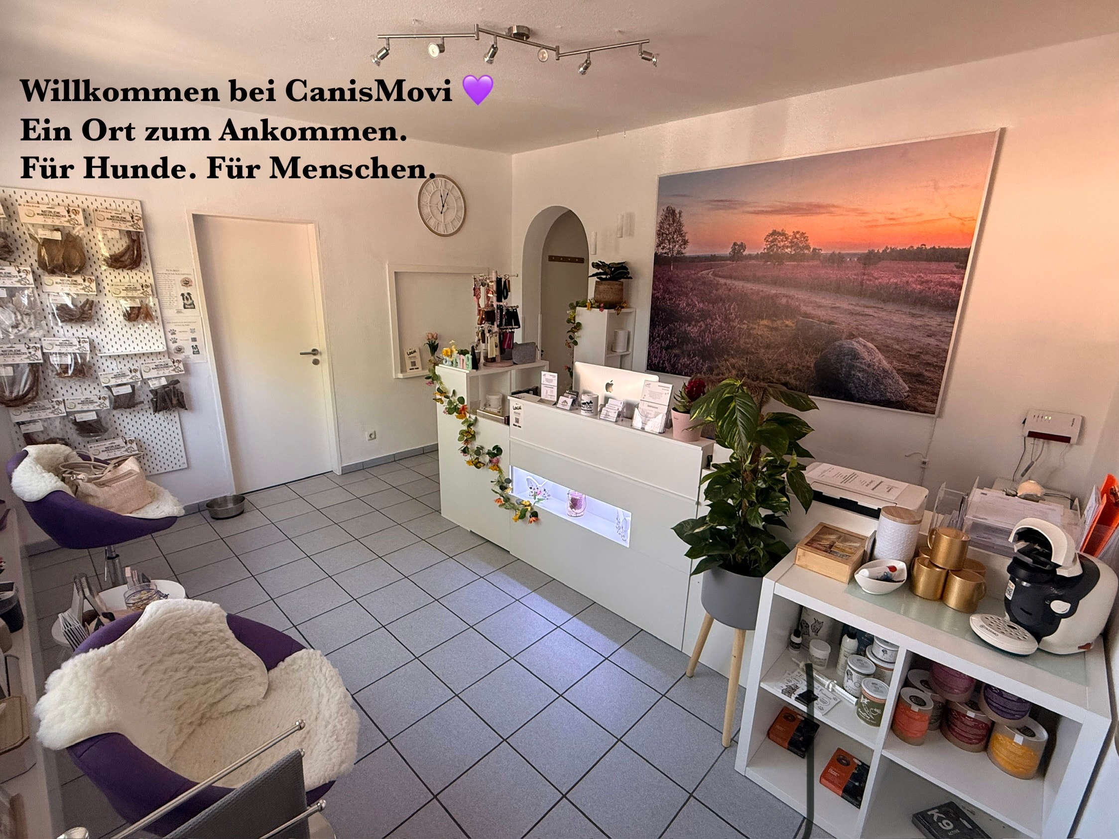CanisMovi-HundePhysiotherapie I Carmen Sauer