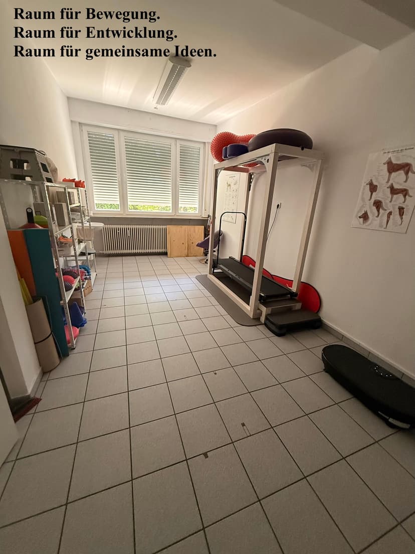 CanisMovi-HundePhysiotherapie I Carmen Sauer