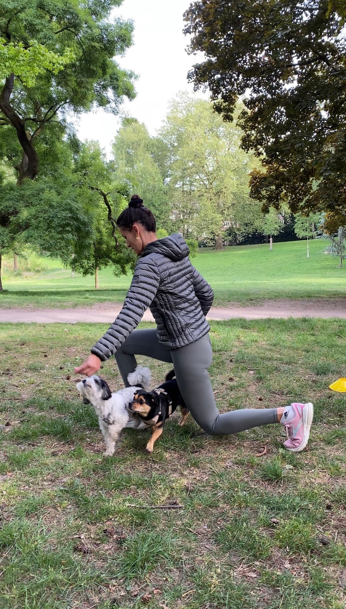 Aktiv mit Hund