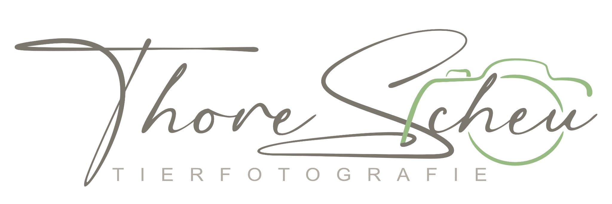 Tierfotograf Thore Scheu