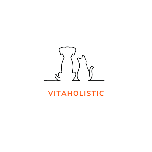Tierheilpraxis Vitaholistic