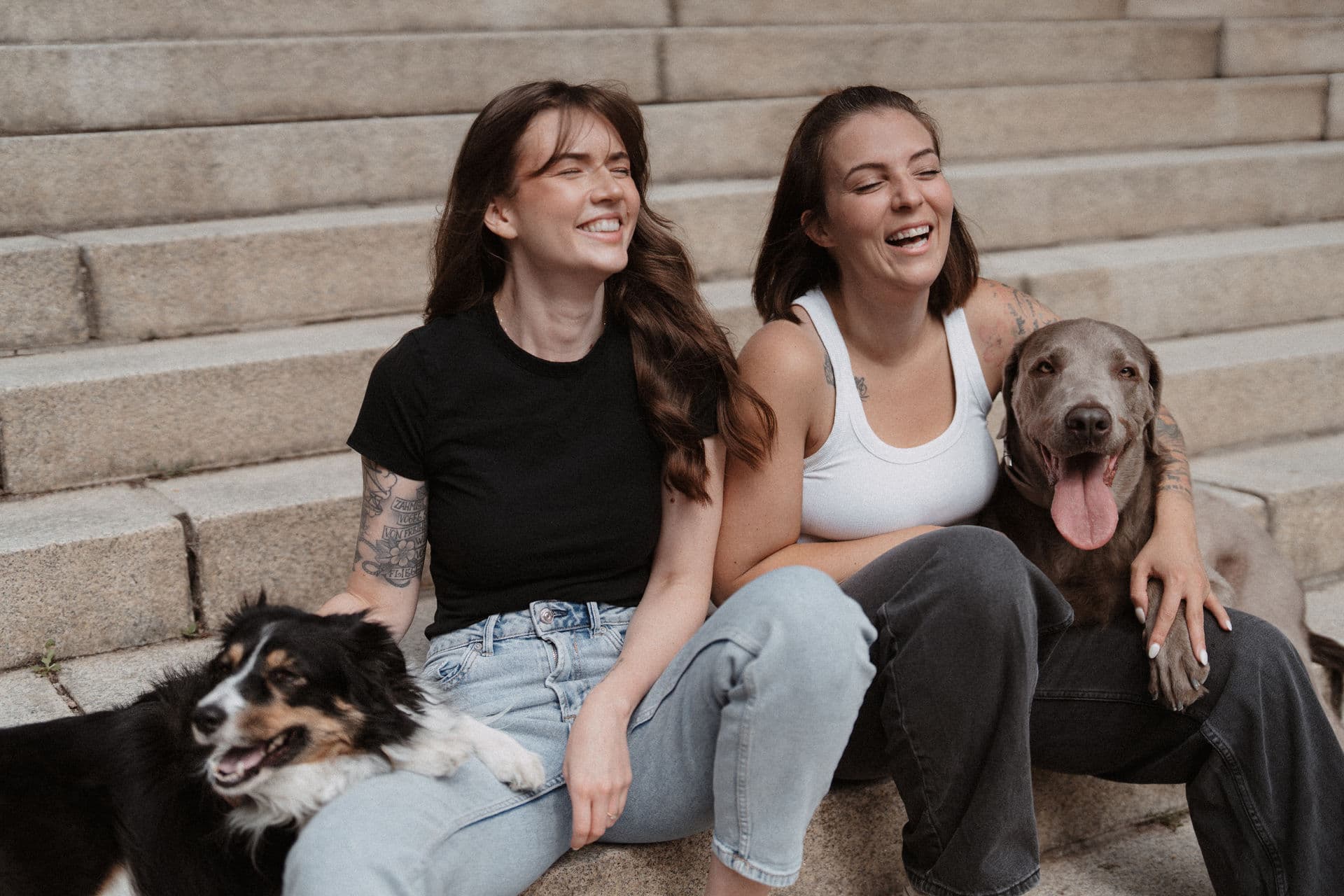 Hundeschule Hamburg - Pawlitytime