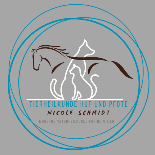 Tierheilkunde Huf und Pfote/ Nicole Schmidt mobile Tierheilpraktikerin