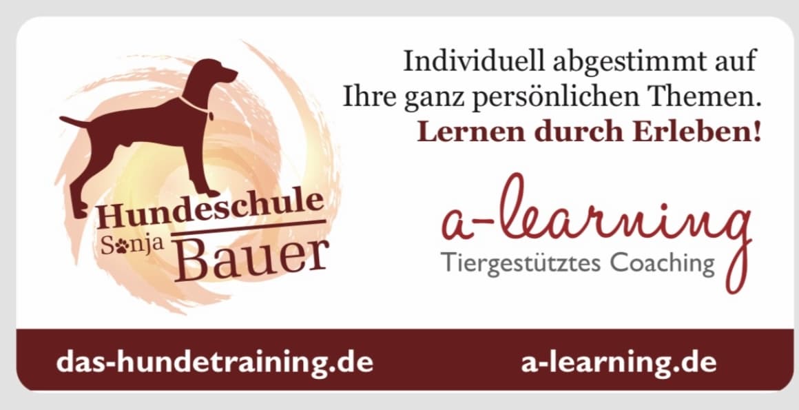 Sonja Bauer Hundeschule & Beratung