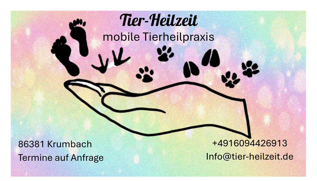 Tier-Heilzeit