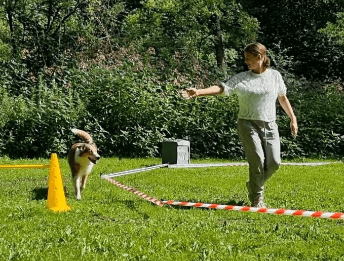 Ankerpfoten